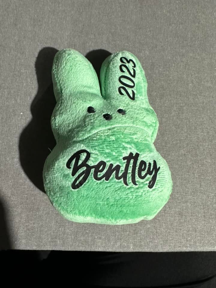 Stuffed Candy Bunny