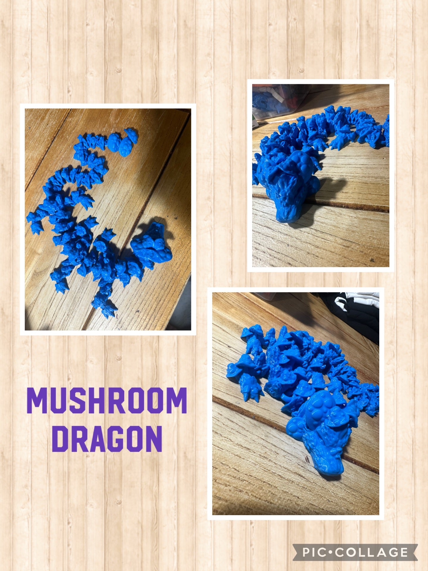 Mushroom Dragon