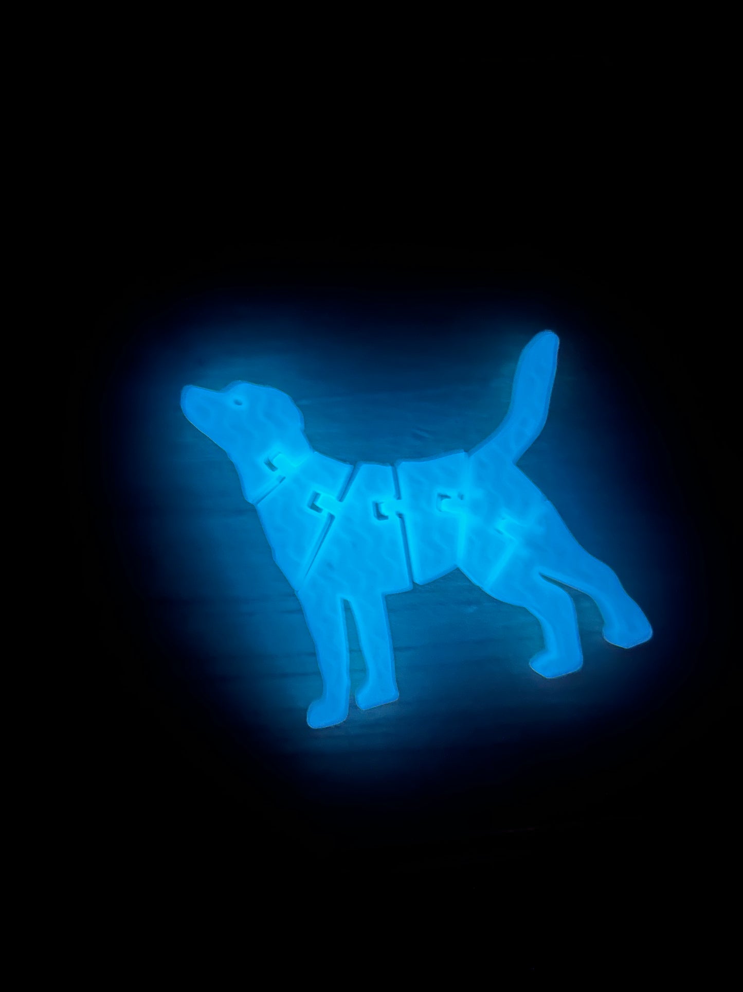 Dog (GITD Blue)