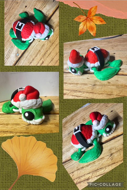 Santa Turtle